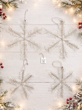 Pottery Barn Bejeweled Snowflake Mixed Ornaments Set of 4 Silver Christmas ❄️
